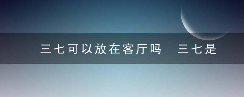 三七可以放在客厅吗 三七是否可以放在客厅